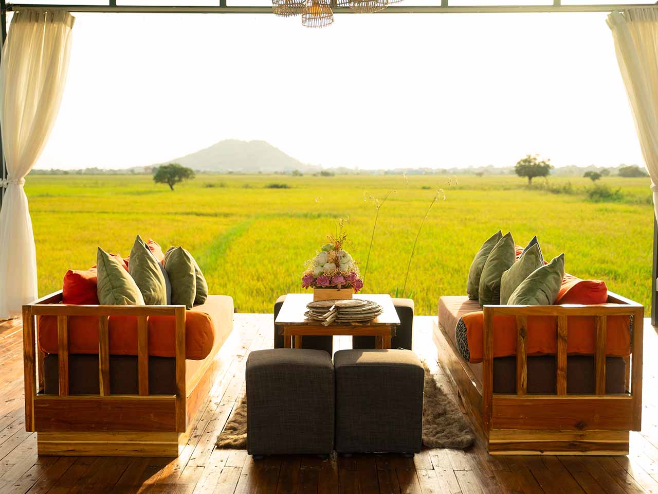 Sunset Cocktail & Romantic Dinner at Rice fields